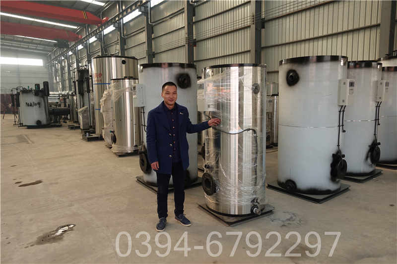 燃天然气导热油炉(图2)