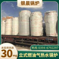 立式生物质锅炉