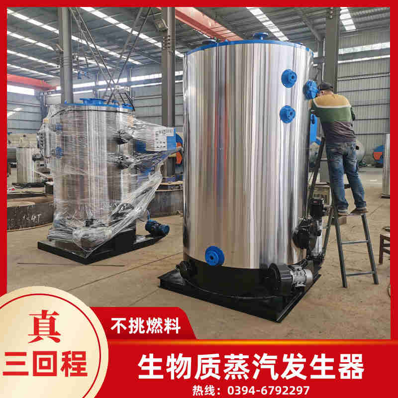 12吨燃气热水锅炉(图2)