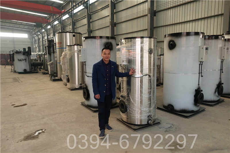 吉林0.4吨燃气热水锅炉(图2)
