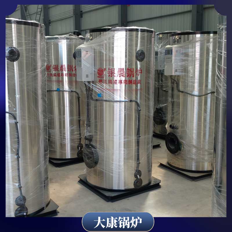 生物质颗粒1吨蒸汽锅炉大康锅炉1吨热水燃气锅炉