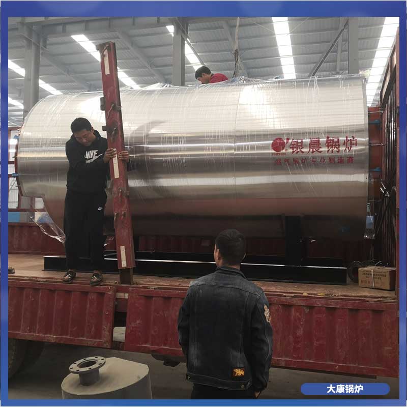 生物质环保锅炉大康锅炉燃气热水用锅炉