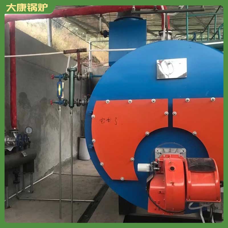 立式燃煤导热油锅炉